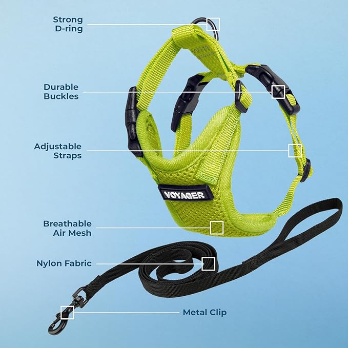 Voyager Escape-Proof Step-in Lock Cat Harness & 5ft Neoprene-Handle Leash Set All-Weather Mesh with Reflective Stitching for Small to Large Cats by Best Pet Supplies, Lime Green, XXS