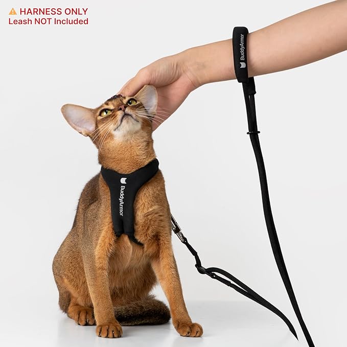 Escape Proof Y Shape Cat Harness Anti-Choke Buckle Adjustable Comfortable Padded Cat Vest Harness Anti Escape Cat Rope Harness for Kitten Small Medium Large Cats (Black, S)