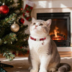 Unique Style Paws Kitten Collars,Cute Cats Collar with Bell,Kitten Collar Breakaway Buckle with Red Green Pattern,Adjustable Cat Collars,Ideal Gift for Boy Girl Cats