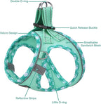 AMTOR Dog Harness with Leash Set,Upgrade No Pull Reflective Step-in Air All Weather Puppy Harness with Padded Vest for Small Dogs and Cats(Teal,Small)