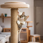 PowerKing Natural Sisal Replacement Scratching Post, 4 Pieces M8 Cat Scratch Post Refill Pole Parts for Refurbishment, White, Include Screws (Nature-15.7''+15.7''+7.87''+7.87'')