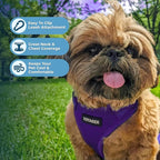 Voyager Step-in Pet Harness - All Weather Mesh, Adjustable Step in Harness for Cats and Dogs by Best Pet Supplies - Purple, S