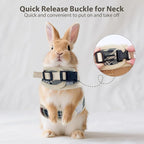 AIITLE Adjustable Bunny Harness & Leash Set - Soft Mesh Liner, Comfort Fit Plaid Pattern Vest with Magic Tape Design, Portable for Small Animal Pets Puppy Cat Rat Squirrel Ferret, Beige L
