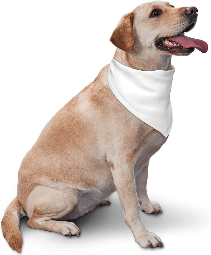 Personalized Dog Scarf Add Your Design Custom Dog Bandanas with Photo Name Text Image Customized Triangular Head Scarf Gifts for Small Medium Large Dogs Cats Pets, WhiteYL