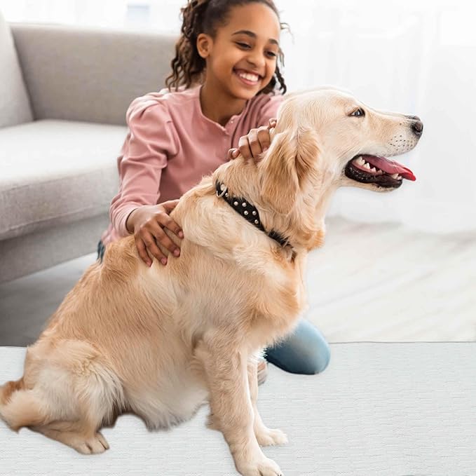Dog Cooling Mat, Durable Machine Washable Pets Cool Pad, XX-Large, Grey