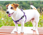 PUPTECK No Pull Dog Harness Soft Adjustable Basic Nylon Step in Puppy Vest Outdoor Walking with ID Tag, Reflecive Purple, S