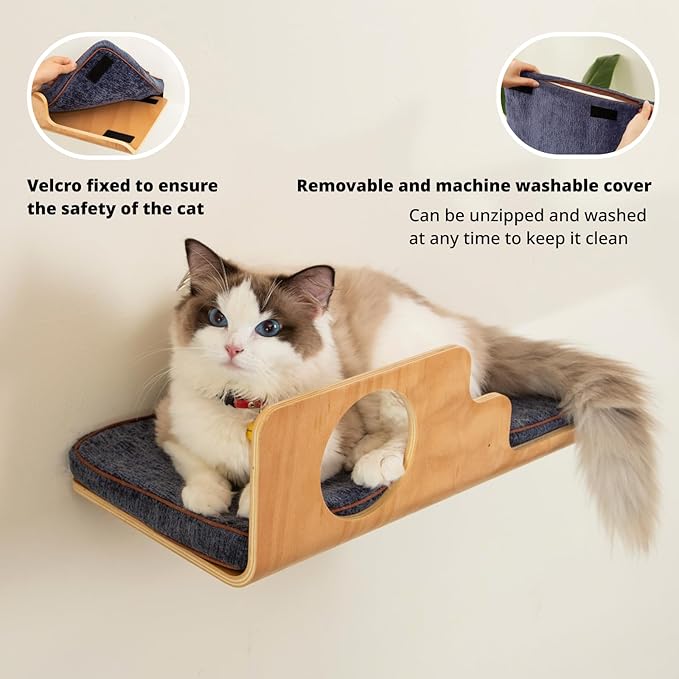 Cat Wall Shelves with 2 Steps, Creative Design Cat Shelf with Peephole, 19 x 10 inch Cats Wall Furniture with Comfortable Pad, Cats Perch for Sleeping, Playing, and Scratching.