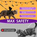 Cat Harness and Leash, Cat Halloween Costumes with Bat Wings Escape Proof Soft Adjustable Vest, Easy Control Breathable Halloween Costumes Harness for Small Dogs Cats Rabbits (M)