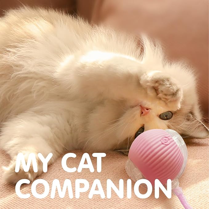 Rocfish Durable Interactive Cat Toys for Indoor Cats, Smart Automatic Cat Chase Ball Toy, Upgraded Speedy Tail Kitten Toy for Bored Indoor Adult Pets (Pink)