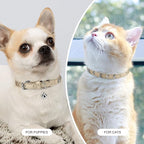 Leather Cat Collars for Boy Girl Cats with Bell and Safety Elastic Belt, Personalized Star and Moon Stud Adjustable Safe Buckle Collar for Kitty Small Big Cats Size 8-12 Inch, Gold