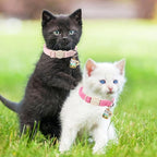 Cat Collar,2 Pack Pink Cat Collars Breakaway with Bell, DOGWONG Safety Buckle Cat Collar for Girl Boy Cats and Small Dogs，Adjustable 7-12 Inch,Pet Supplies Accessories