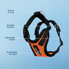 Voyager Step-in Pet Harness - All Weather Mesh, Adjustable Step in Harness for Cats and Dogs by Best Pet Supplies - Orange/Black Trim, L