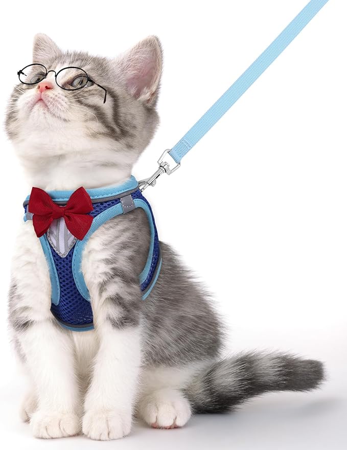 Cat Vest Harness and Leash Set for Walking, Escape Proof, Adjustable Kitten Harness, Breathable Mesh with Reflective Strips, Detective Conan-Inspired Design, Blue, Medium