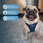 Best Pet Supplies Voyager Step-in Air All Weather Mesh Harness and Reflective Dog 5 ft Leash Combo with Neoprene Handle, for Small, Medium and Large Breed Puppies - Blue/Black Trim, Large