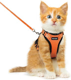 Dooradar Cat Harness and Leash Set, Escape Proof Safe Adjustable Kitten Vest Harnesses for Walking, Easy Control Soft Breathable Mesh Jacket with Reflective Strips for Cats, Orange, XXS