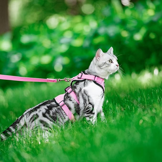 PUPTECK Cat Harness and Leash Set Escape Proof for Walking, Breathable Mash Vest Adjustable Harness for Cats Puppy Small Animals, Reflective at Night, Pink Medium