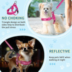 SlowTon No Pull Small Dog Harness and Leash Set, Puppy Soft Vest Harness Neck & Chest Adjustable, Reflective Lightweight Harness & Anti-Twist Pet Lead Combo for Small Medium Dogs (Fuchsia, XS)