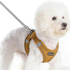 Solmoony Sparkly Medium Dog Harness and Leash Set, Step in Soft Light Puppy Vest, Breathable Reflective Pet Harness for Walking, Puppy Harness for Medium Dogs Cats (Brown, L)