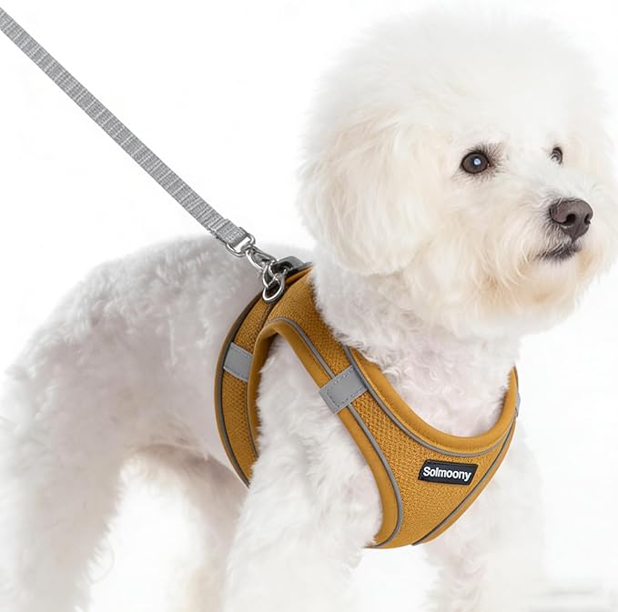 Solmoony Sparkly Small Dog Harness and Leash Set, Step in Soft Light Puppy Vest, Breathable Reflective Pet Harness for Walking, Puppy Harness for Small Dogs Cats (Brown, S)