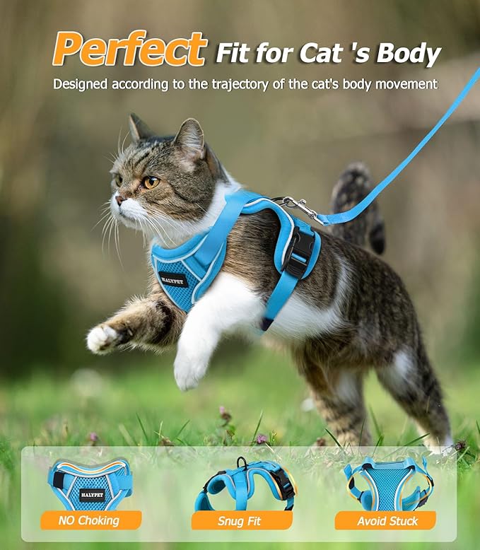 Halypet Cat Harness and Leash Set [MAX Safety 4th-Gen Upgrade] Escape Proof Adjustable Cat Leash Comfortable Soft Vest Easy to Wear Kitten Harness with Reflective Strip for Cats Walking, XS SkyBlue