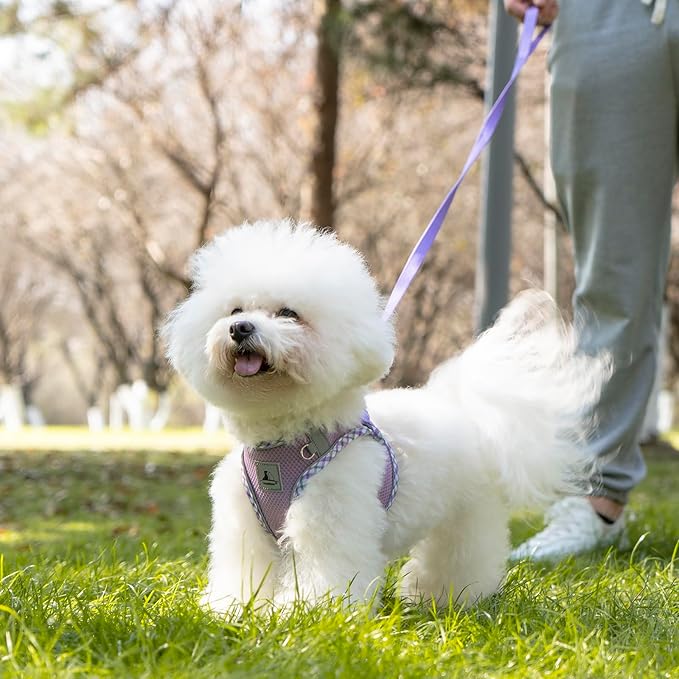 Dog Harness and Leash Set, No Pull Soft Breathable Adjustable Reflective Step In Vest Harness for Puppy, Kitten, Cats