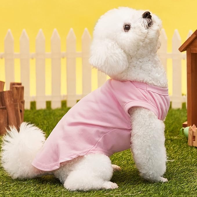 Custom Dog T-Shirts with Name for Pet Dogs, Breathable Personalized Print or Embroidered Name Clothes Summer Clothing Pullover for Pet Puppy Cats Kitten(S, 8 Colors T-Shirts)