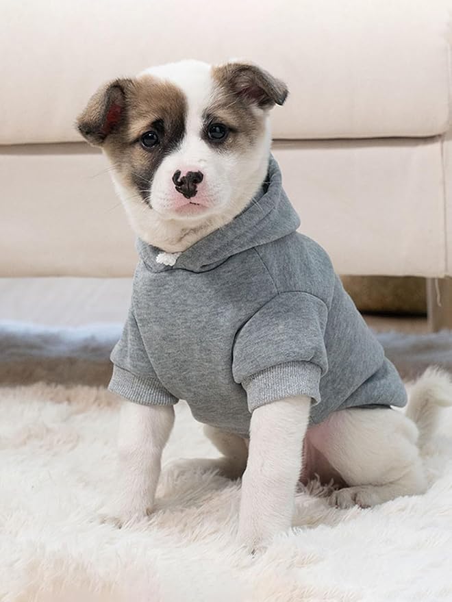 QWINEE Basic Dog Hoodie Sweatshirt Puppy Sweater Warm Cat Costumes Pet Clothes for Chihuahua Puppy Kitten Small Medium Dogs Grey and Cadet Blue Small