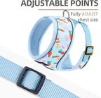 PUPTECK Soft Mesh Dog Harness and Leash Set Pet Puppy Cat Comfort Padded Vest No Pull Harnesses, Easter Blue, S