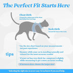 rabbitgoo Cat Harness and Leash Set for Walking Escape Proof, Adjustable Soft Kittens Vest with Reflective Strip for Cats, Comfortable Outdoor Vest, Light Blue, L