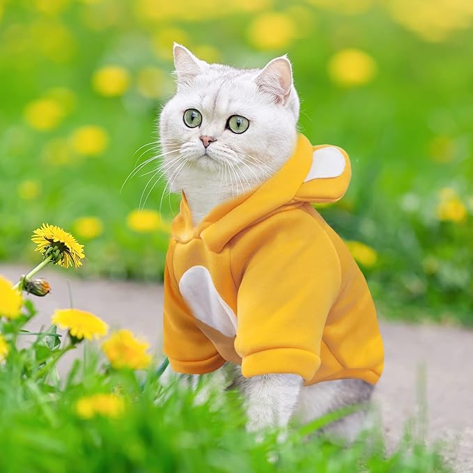 Small Dog Hoodie Soft Warm Fleece Fall Winter Dog Clothes Cute Puppy Sweaters Cat Coat Funny Blank Pullover Doggy Hooded Sweatshirts for Small Dogs Chihuahua Costumes Kitten Outfits(Yellow,XL)