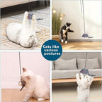 Kalimdor Interactive Cat Feather Toys,Retractable Teaser Toy ，Hanging Interactive Toys for Indoor Cats Kitten Play Chase Exercise, Kitten Mental Exercise Toys (1 Pack)