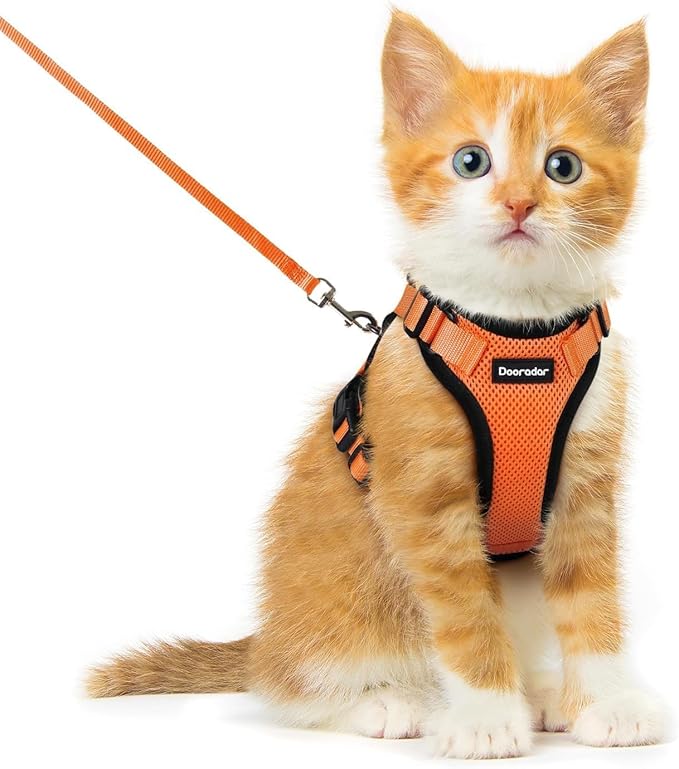Dooradar Cat Harness and Leash Set, Escape Proof Safe Adjustable Kitten Vest Harnesses for Walking, Easy Control Soft Breathable Mesh Jacket with Reflective Strips for Cats, Orange, XXS
