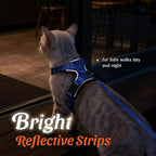 Dooradar Cat Harness and Leash Set, Escape Proof Safe Adjustable Kitten Vest Harnesses for Walking, Easy Control Soft Breathable Mesh Jacket with Reflective Strips for Cats, Blue, S