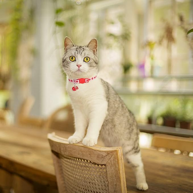 BINGPET Breakaway Cat Collar with Bell, 3 Pack Cat Collars for Girl Cats, Cute Kitty Collars Accessories with Pineapple & Cherry & Strawberry