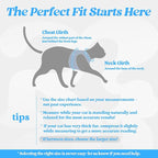 rabbitgoo Cat Harness and Leash Set for Walking Escape Proof, Adjustable Soft Kittens Vest with Reflective Strip for Cats, Comfortable Outdoor Vest, Light Blue, XL