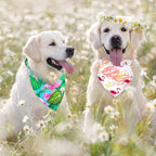 Frienda 20 Pcs Summer Spring Dog Bandanas Hawaiian Style Washable Triangle Pet Bibs Assortment Puppy Kerchief Accessories for Small Medium Pets Dogs Cats(Large)