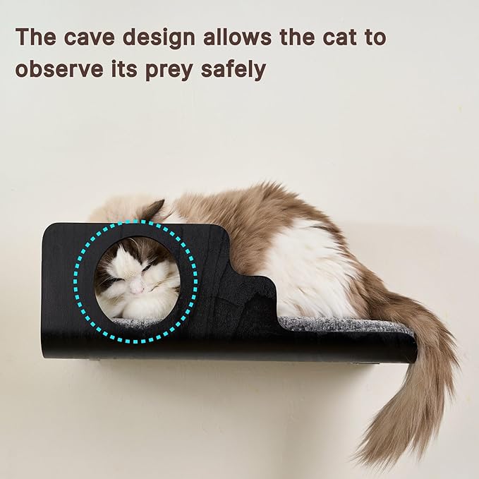 Cat Wall Shelves, Creative Design Cat Shelf with Peephole, 19 x 10 inch Cats Wall Furniture with Comfortable Pad, Cats Perch for Sleeping, Playing, and Scratching, Walnut