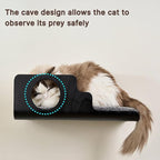 Cat Wall Shelves, Creative Design Cat Shelf with Peephole, 19 x 10 inch Cats Wall Furniture with Comfortable Pad, Cats Perch for Sleeping, Playing, and Scratching, Walnut