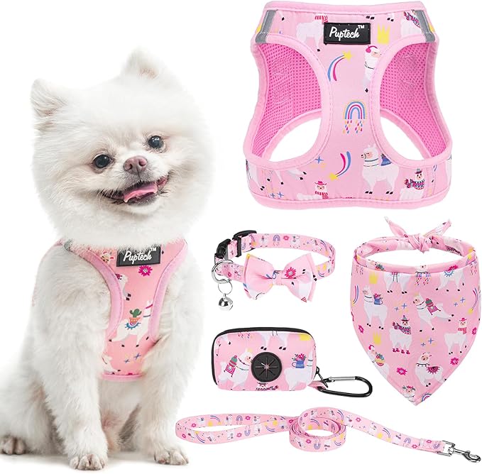 PUPTECK Adjustable Dog Harness Collar and Leash Set, Step in No Pull Pet Harness for Small Medium Dogs Puppy Cats Outdoor Walking, Soft Mesh Padded Reflective Vest Harnesses, Light Pink Alpaca, XS
