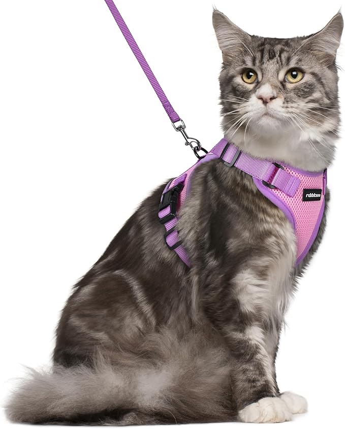 rabbitgoo Cat Harness and Leash Set, Escape Proof Soft Adjustable Vest Harnesses for Outdoor Walking, Easy Control Breathable Kitten Jacket with Reflective Strips, Pink & Purple, M
