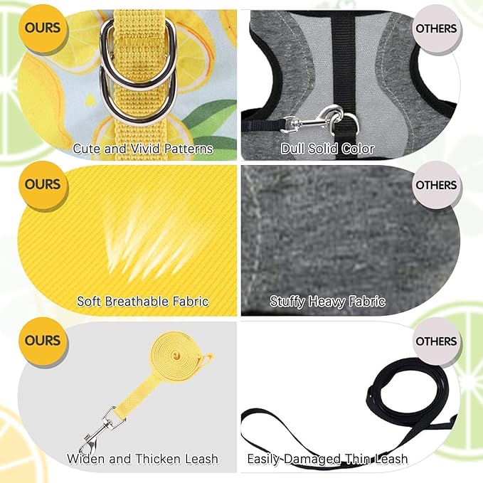 BINGPET Cat Harness and Leash Set Escape Proof for Walking,Step-in Harness with Lightweight Soft Breathable Mesh,Adjustable Easy Control Harness (Sunshine Citrine, L(Chest:12.5-16.5"))