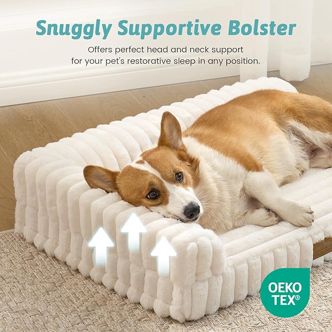Cute Dog Bed, Faux Rabbit Fur Orthopedic Foam Dog Bed with Sides, Removable Washable Cover & Waterproof Lining, Comfortable Pet Couch for Medium Dogs, Cream (36" L x 27" W x 6.5" Th)