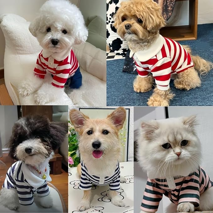 MANON ROSA Dog Clothes, Designer Boy Polo Shirt for Small Medium Dogs, Soft Puppy Outfit, Breathable Male Yorkie Chihuahua Shih Tzu Poodle Kitten Cat T-Shirt, Birthday Gifts - Blue, XL, Fit 12-16.5lbs