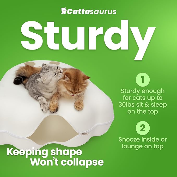 Cattasaurus Unique Gothic Peeka-Boo Cat Cave, Extra Spacious for Multiple & Large Cats 15+ lbs, Scratch Detachable Cat Beds for Indoor Cats, Washable Tunnel Bed (White Ghost, Jumbo)