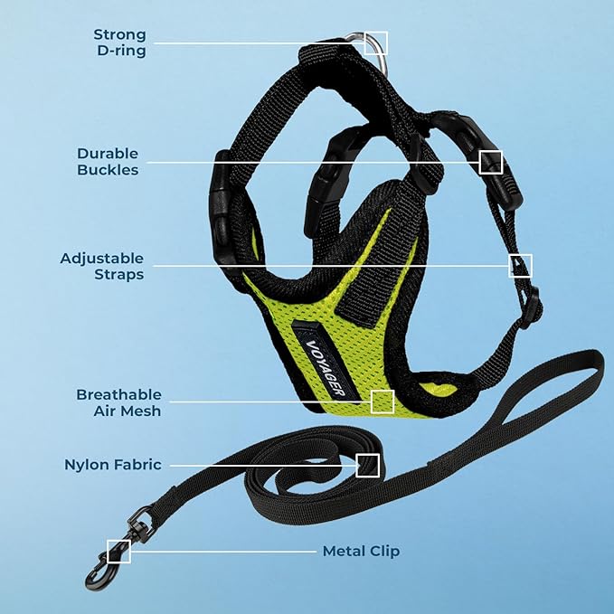 Voyager Escape-Proof Step-in Lock Cat Harness & 5ft Neoprene-Handle Leash Set All-Weather Mesh with Reflective Stitching for Small to Large Cats by Best Pet Supplies, Lime Green/Black Trim, S