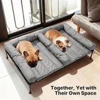 Veehoo Cooling Raised Dog Beds + Waterproof Double Dog Bed Cushion for Two Medium Dogs, Elevated Pet Cot with Removable Bolster Mat, Breathable Mesh, No-Slip Feet, Pets Couch Bed, 49x 33inches, Grey