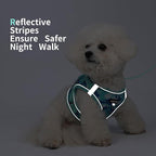 Step in Dog Harness with Leash Set, Adjustable Soft Padded and Breathable Mesh for Medium Sized Dog, Reflective No Pull No Choke Cat Vest Harness, Easy Control Pet Vest, Teal XL