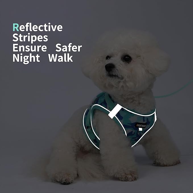 Step in Dog Harness with Leash Set, Adjustable Soft Padded and Breathable Mesh for Medium Sized Dog, Reflective No Pull No Choke Cat Vest Harness, Easy Control Pet Vest, Teal XL