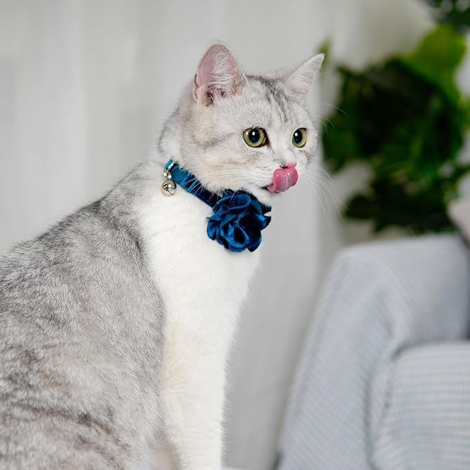 azuza 2 Pack Cat Collar Floral with Bell and Removable Flower Bowtie Breakaway Adjustable Velvet Fabric Cat Collar for Pets and Daily Decoration，Blue & Royal Blue
