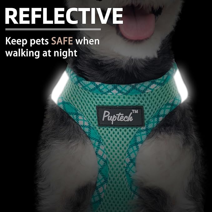 PUPTECK Dog Harness and Leash Set for Small Medium Dogs No Pull Step-in Soft Mesh Puppy Cat Vest Harnesses Reflective at Night, Green XS